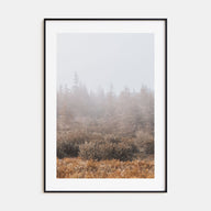 Foggy Forest Photo Color No 3 Poster