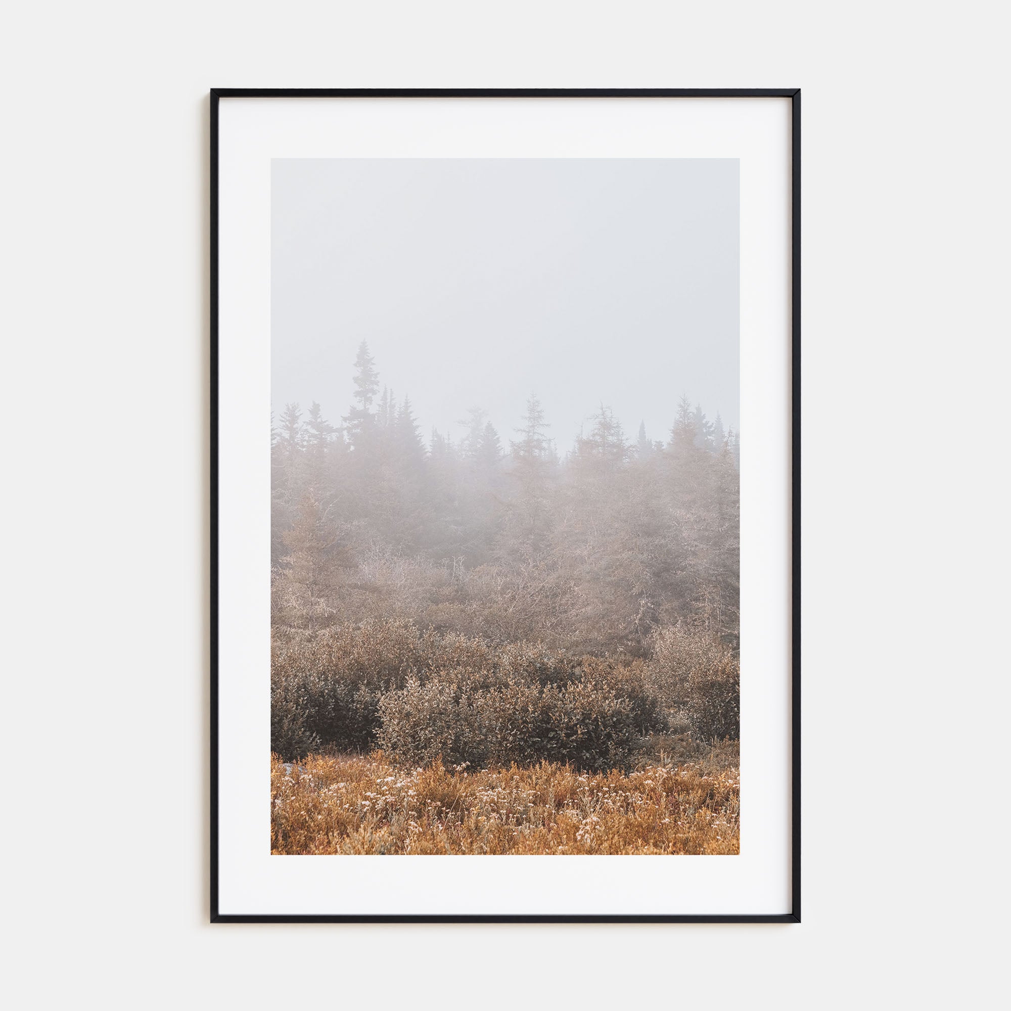 Foggy Forest Photo Color No 3 Poster