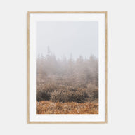 Foggy Forest Photo Color No 3 Poster