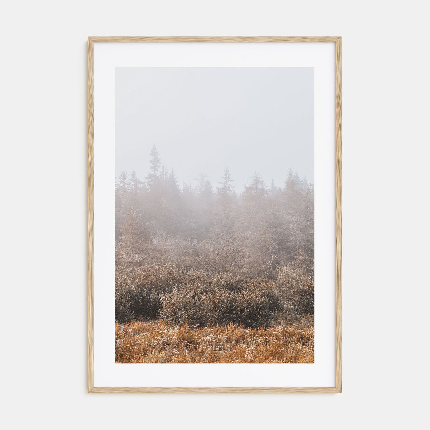 Foggy Forest Photo Color No 3 Poster