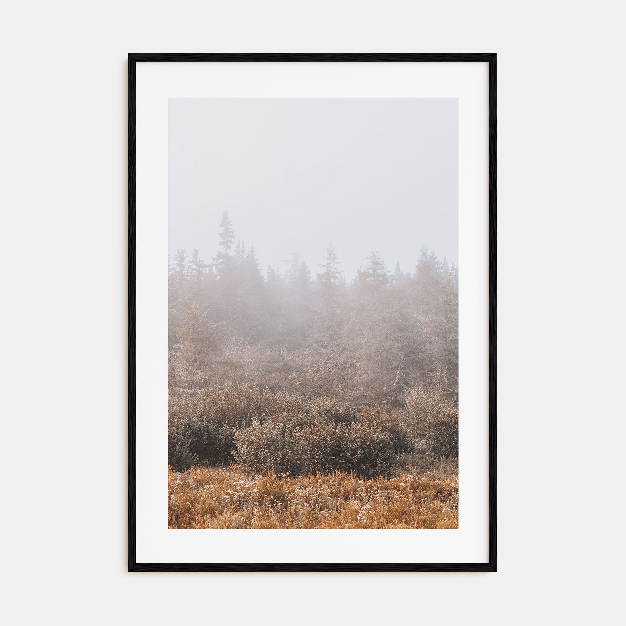 Foggy Forest Photo Color No 3 Poster