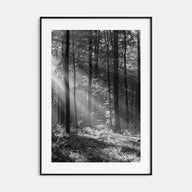 Forest Photo B&W Poster