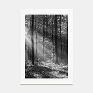 Forest Photo B&W Poster