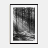 Forest Photo B&W Poster