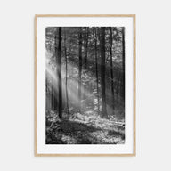 Forest Photo B&W Poster