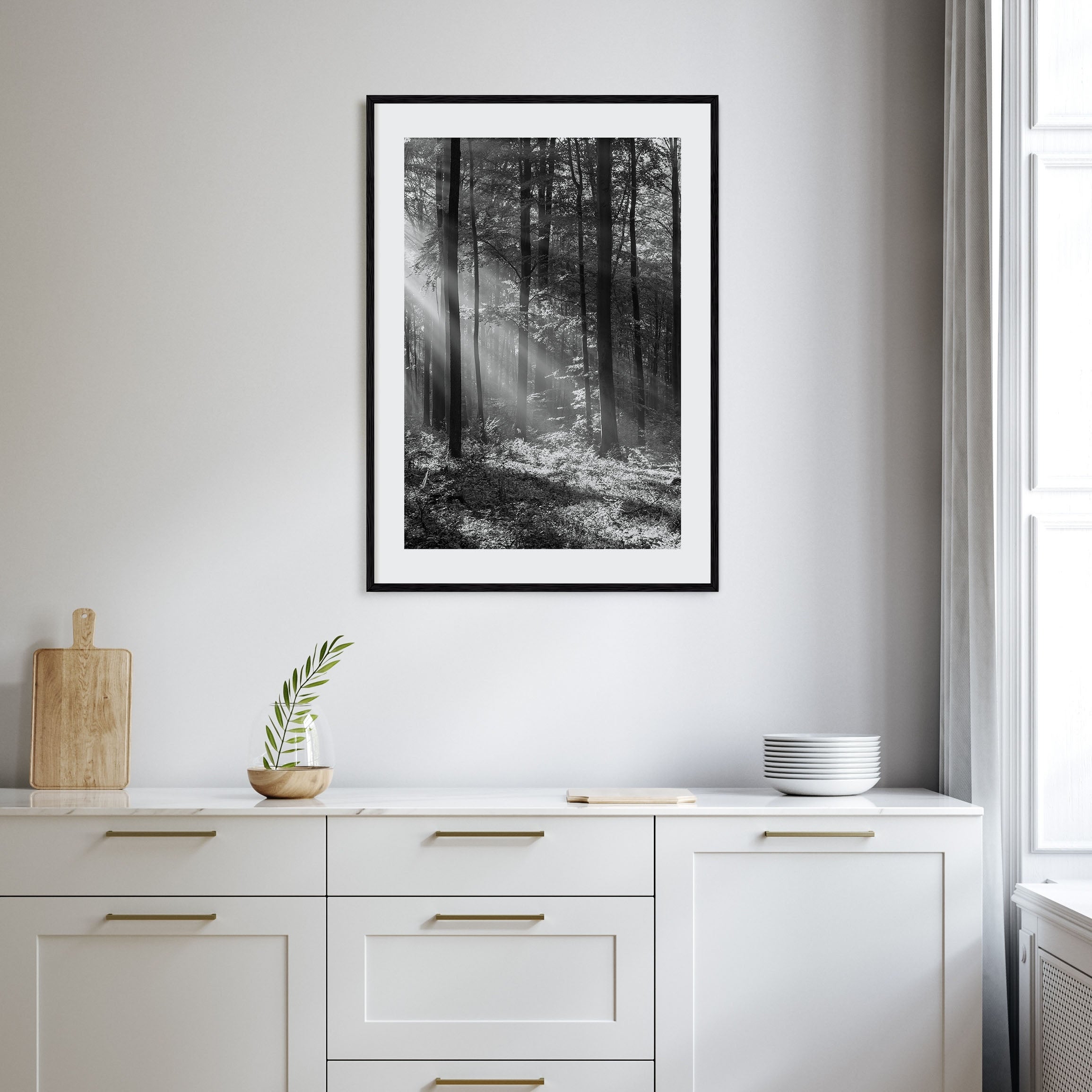Forest Photo B&W Poster