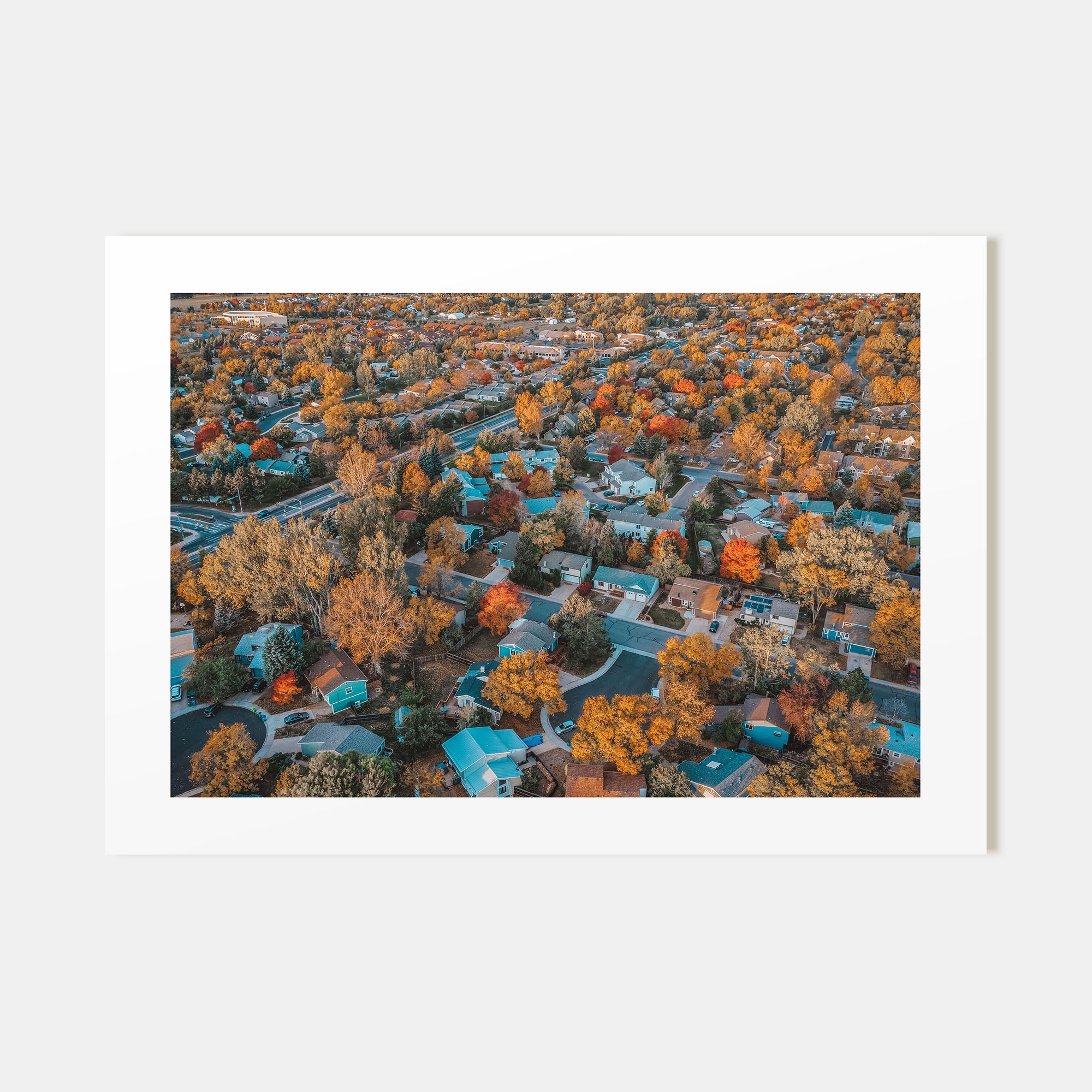 Fort Collins Landscape Color Poster