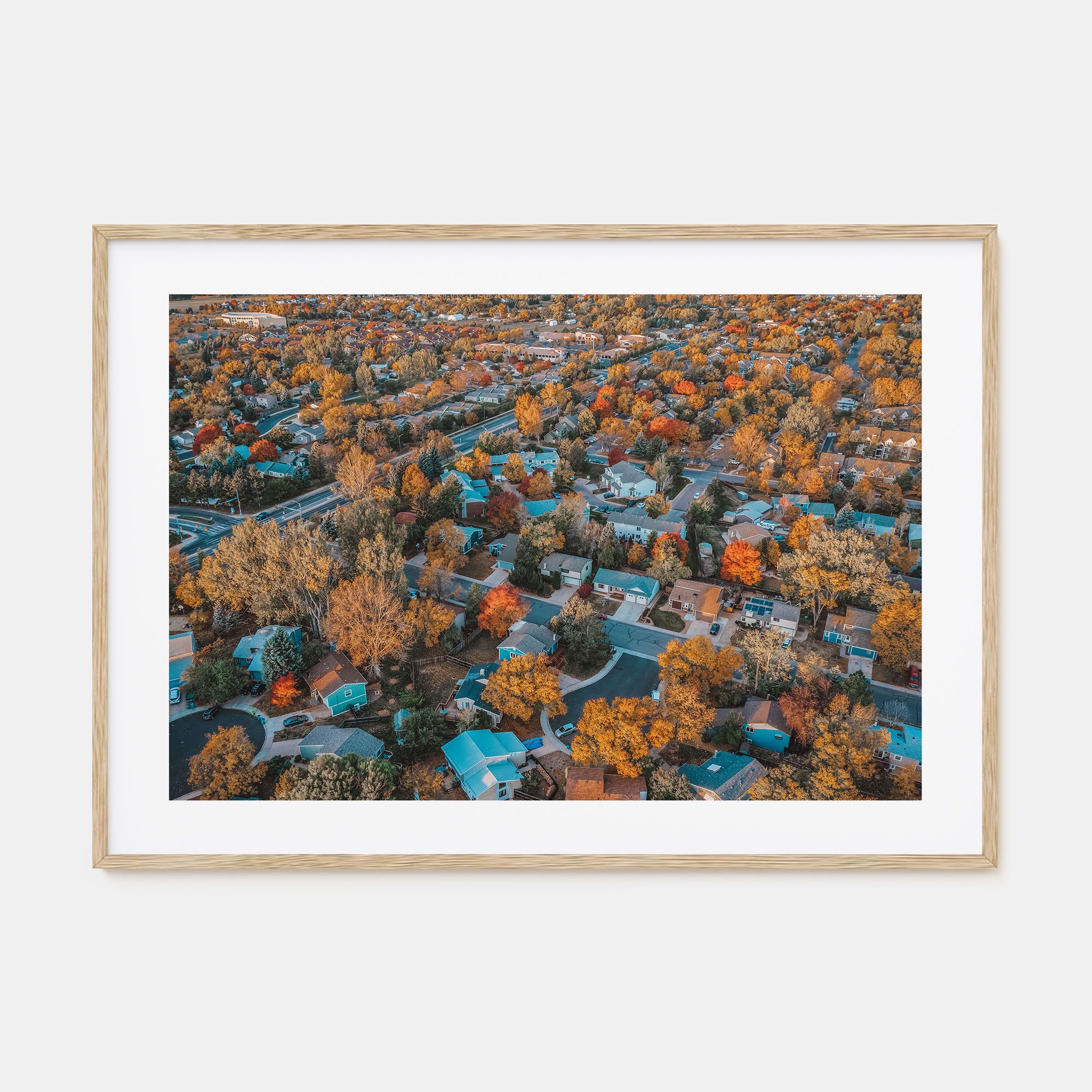 Fort Collins Landscape Color Poster