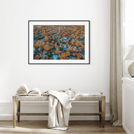 Fort Collins Landscape Color Poster