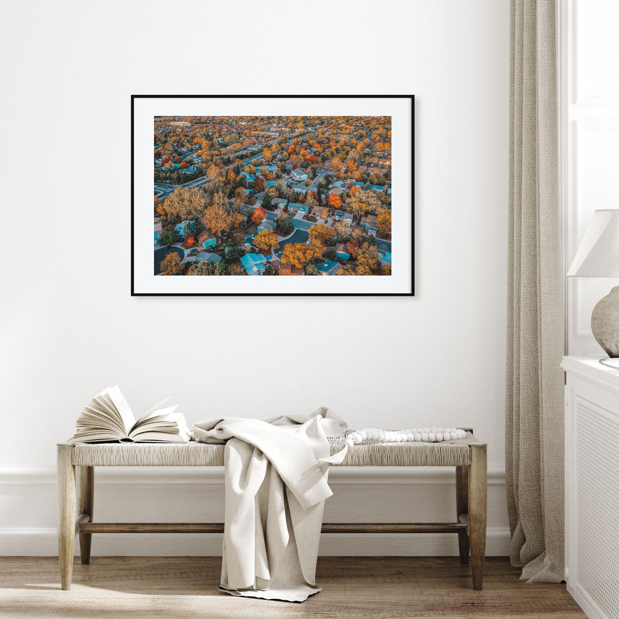 Fort Collins Landscape Color Poster