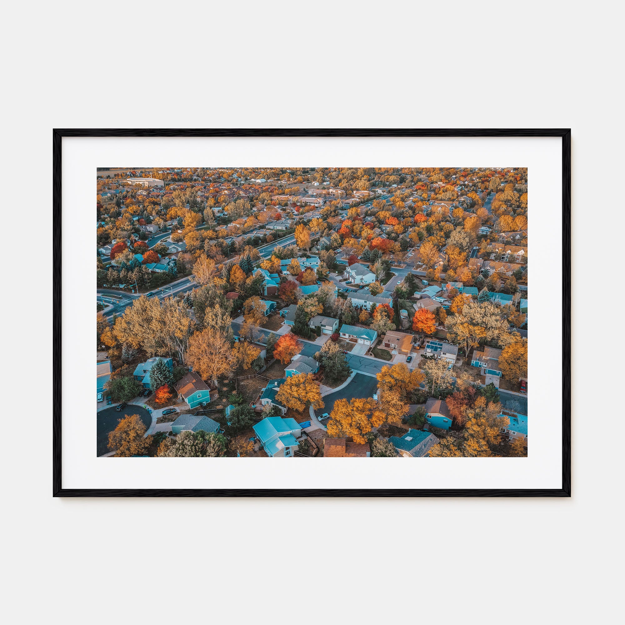 Fort Collins Landscape Color Poster