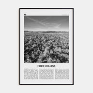 Fort Collins Travel B&W Poster