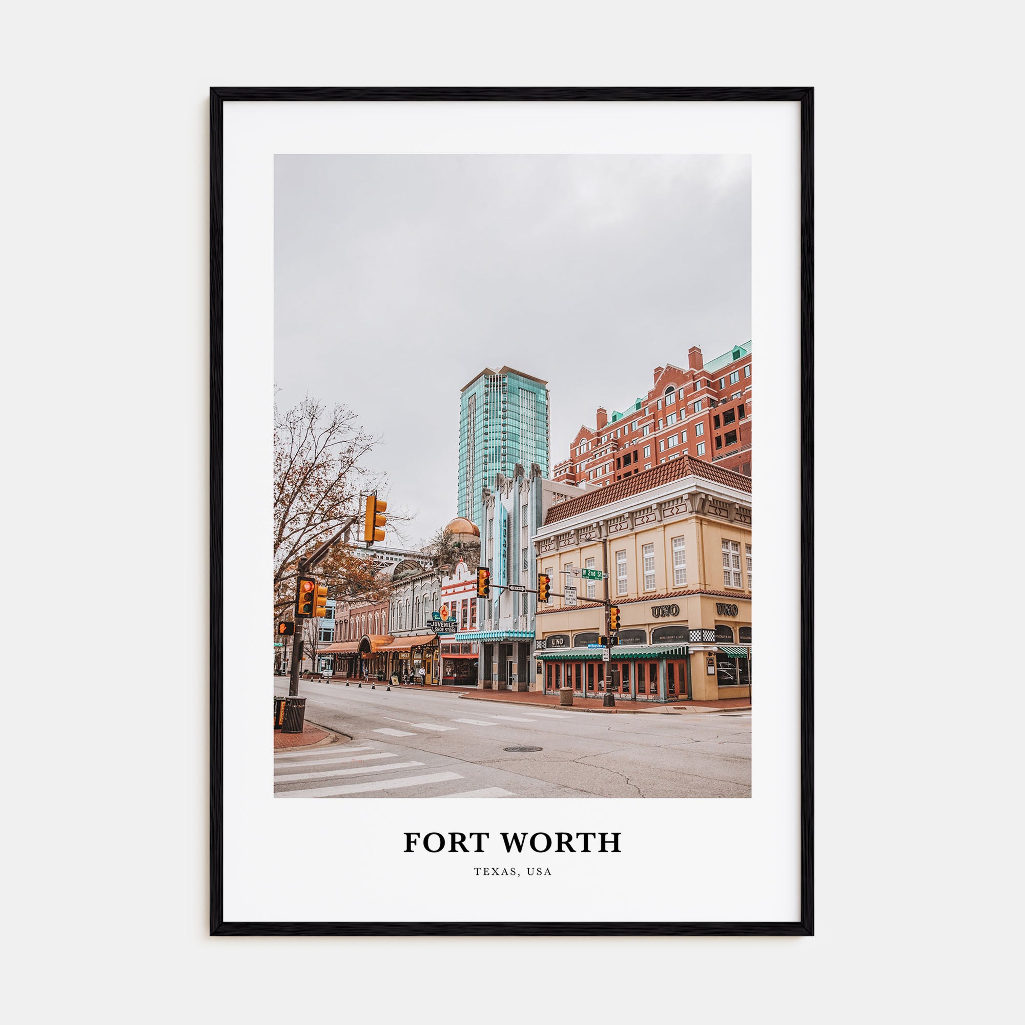 Fort Worth Portrait Color No 1 Poster