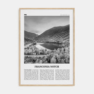 Franconia Notch Travel B&W Poster