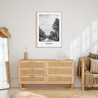 Franklin Portrait B&W Poster