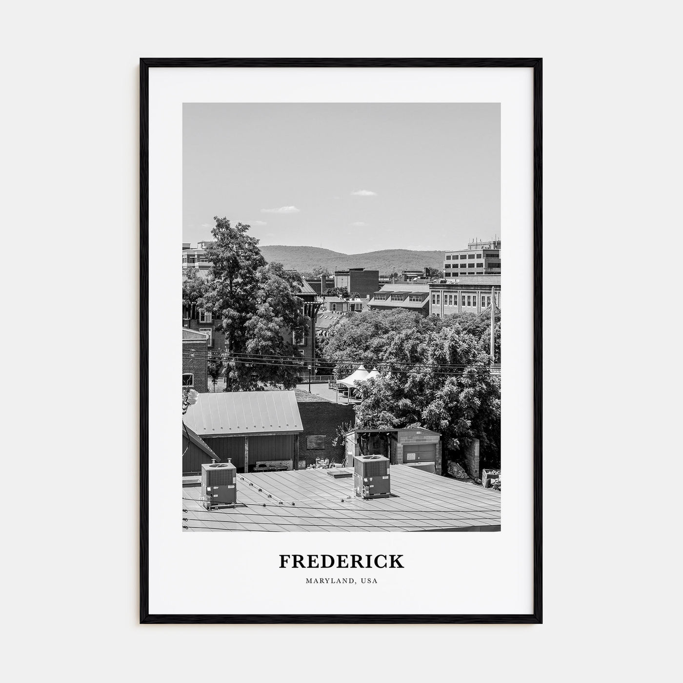 Frederick Portrait B&W Poster