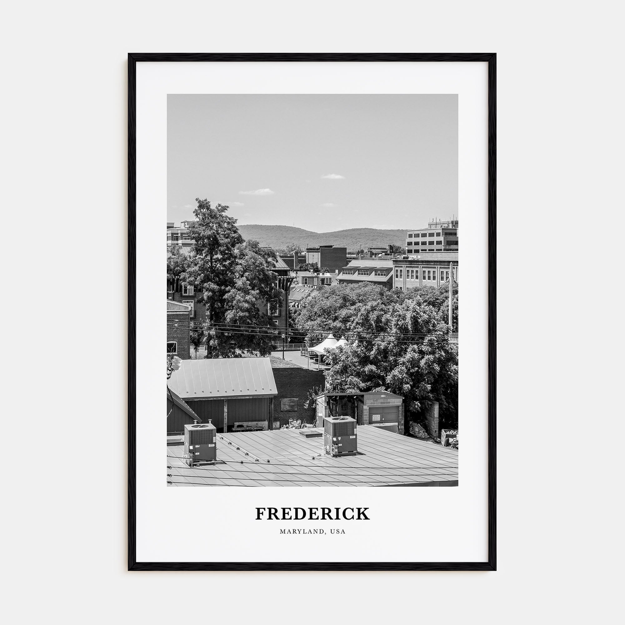 Frederick Portrait B&W Poster