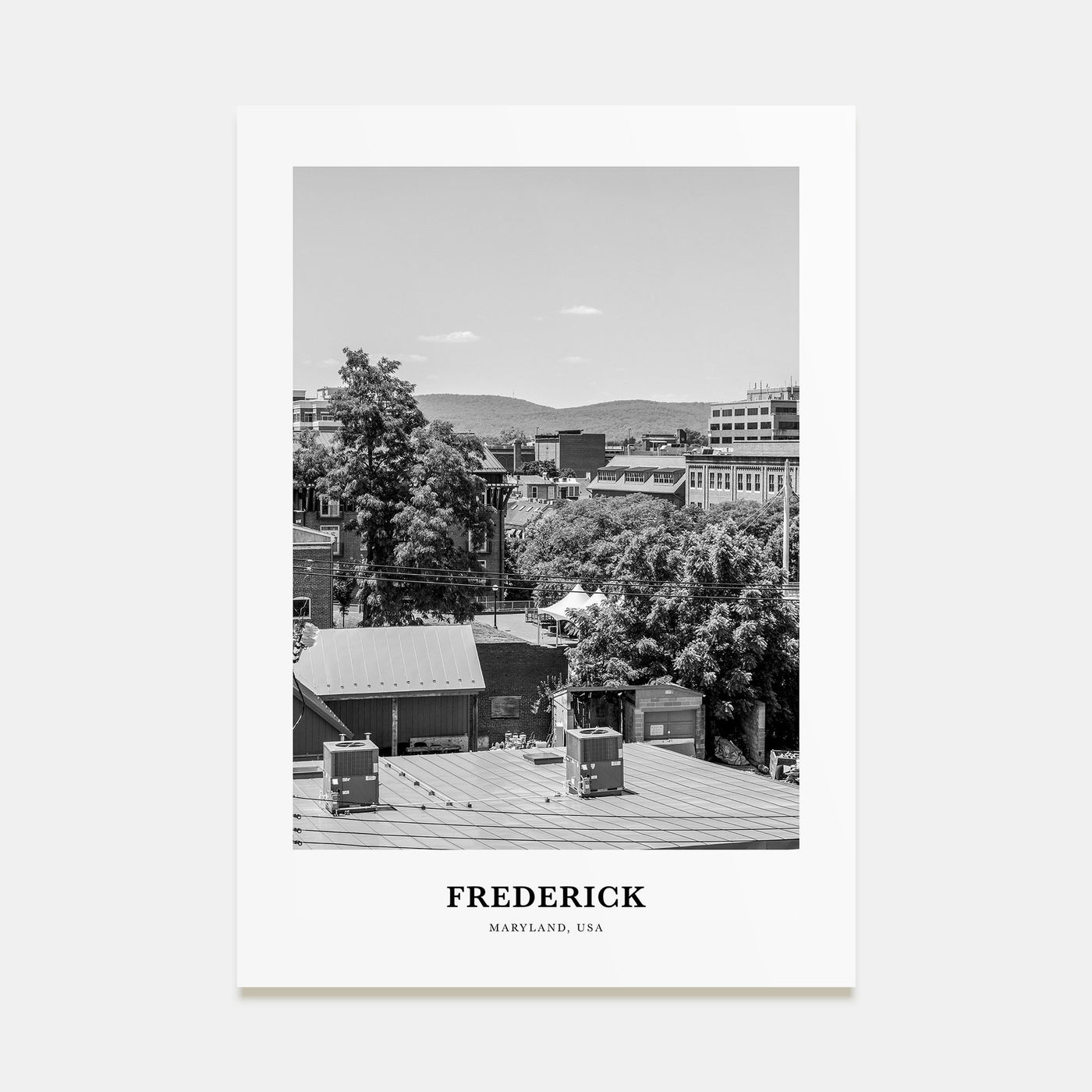 Frederick Portrait B&W Poster