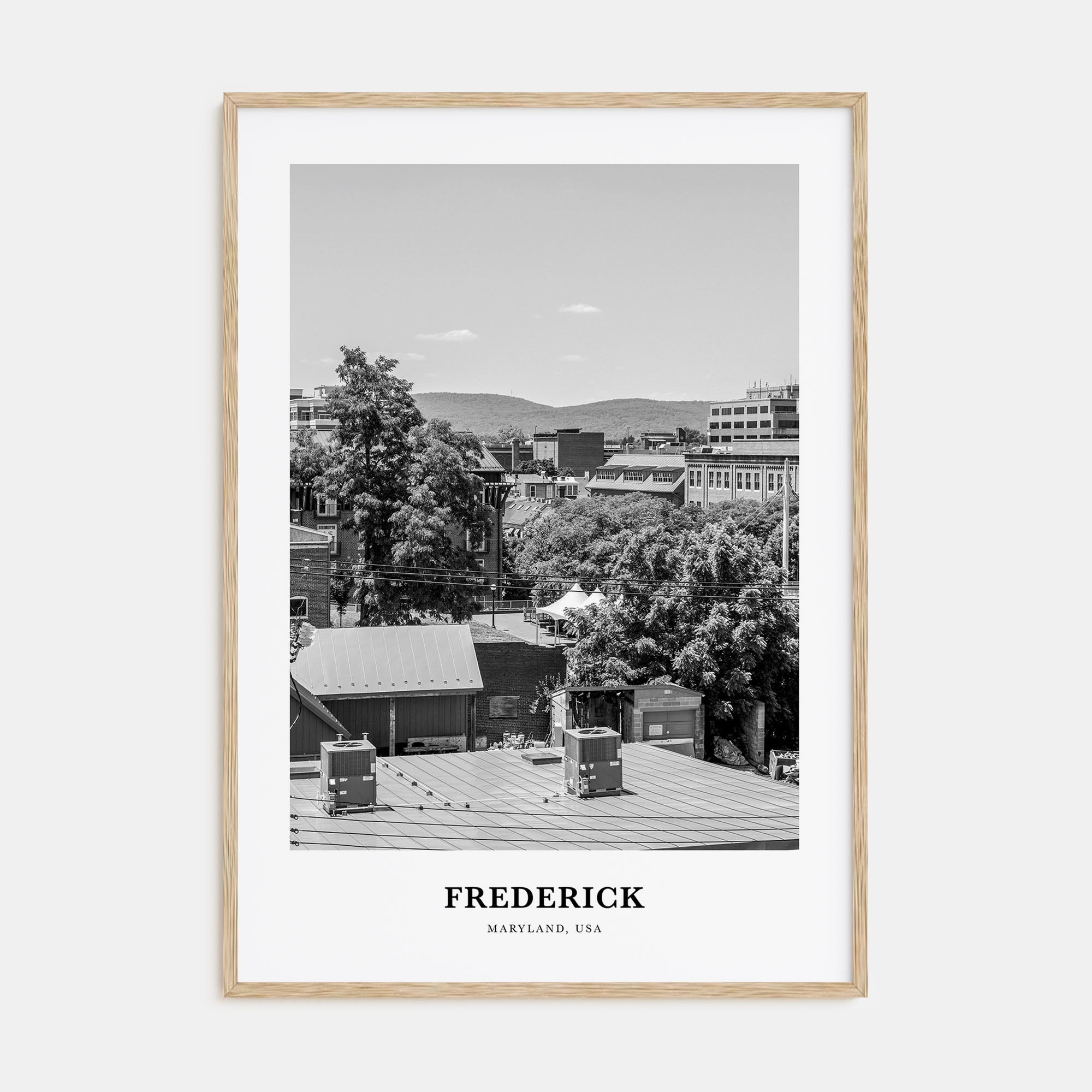 Frederick Portrait B&W Poster