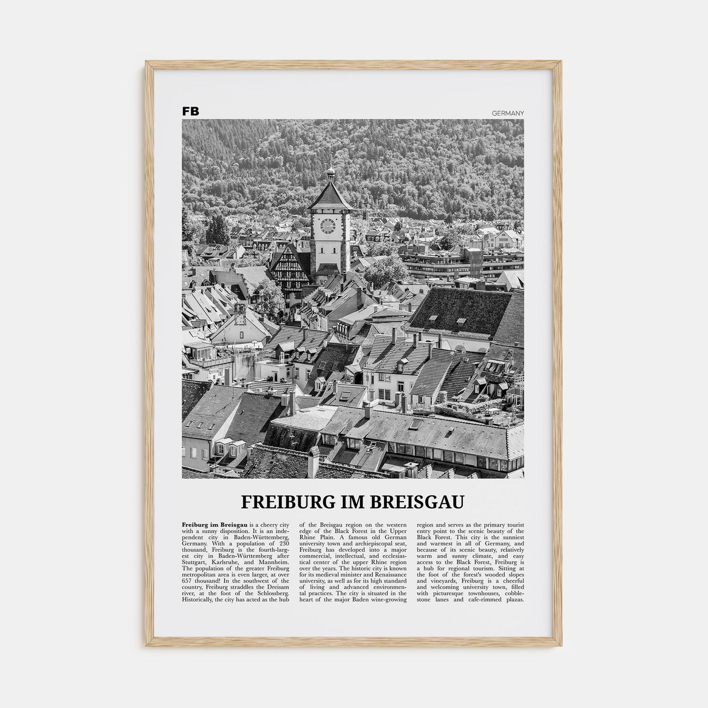Freiburg im Breisgau Travel B&W Poster