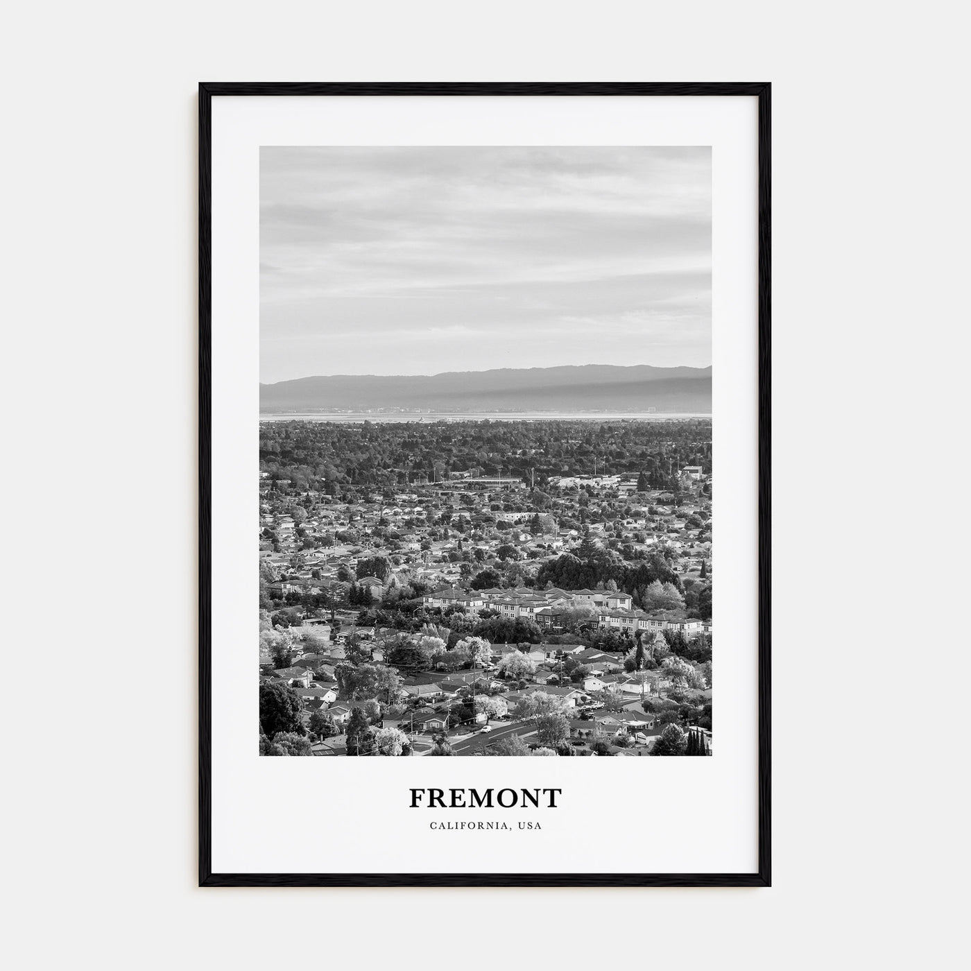 Fremont Portrait B&W Poster