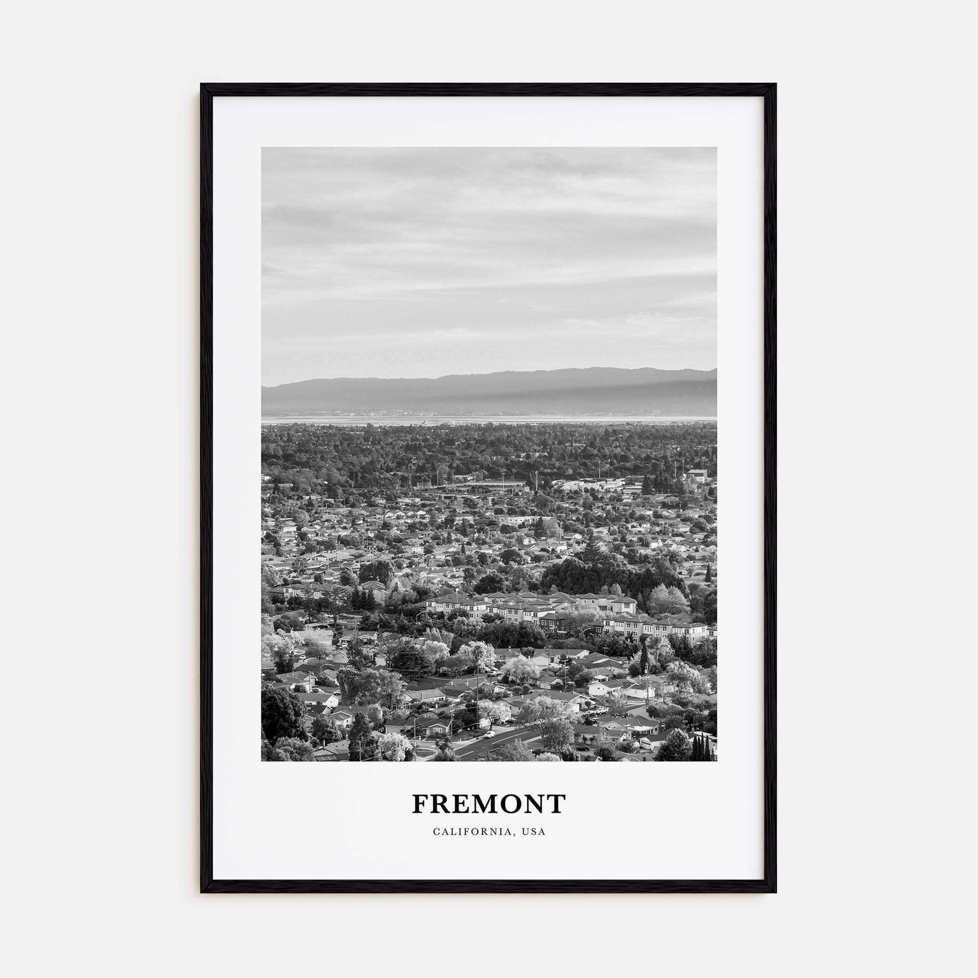 Fremont Portrait B&W Poster
