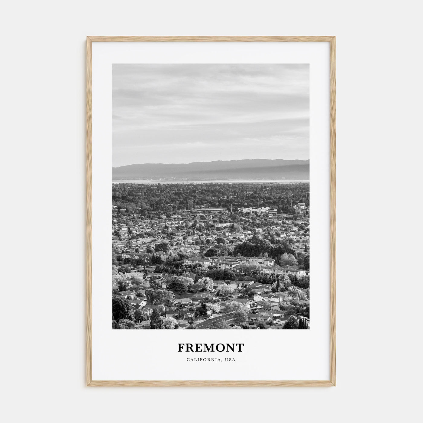 Fremont Portrait B&W Poster
