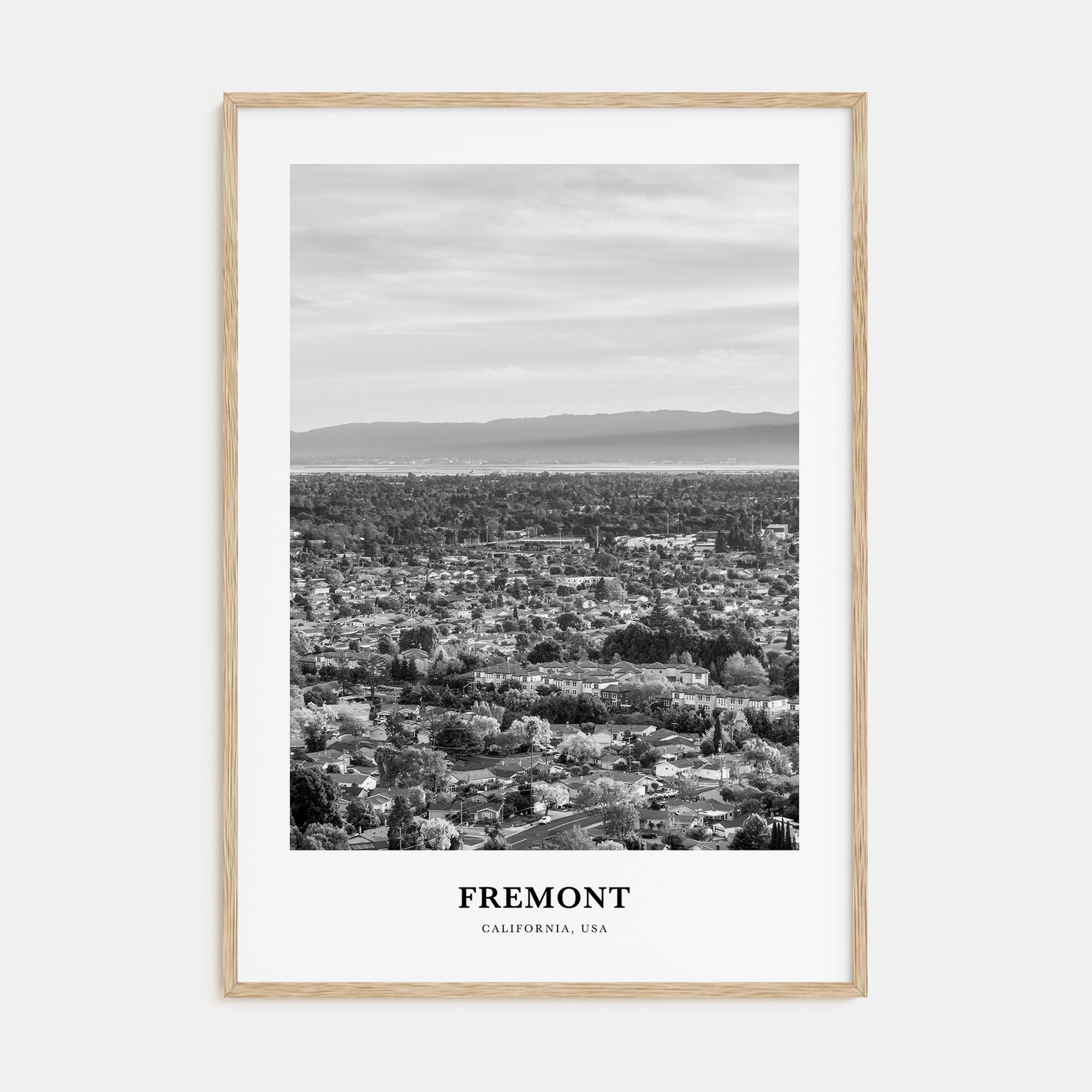 Fremont Portrait B&W Poster