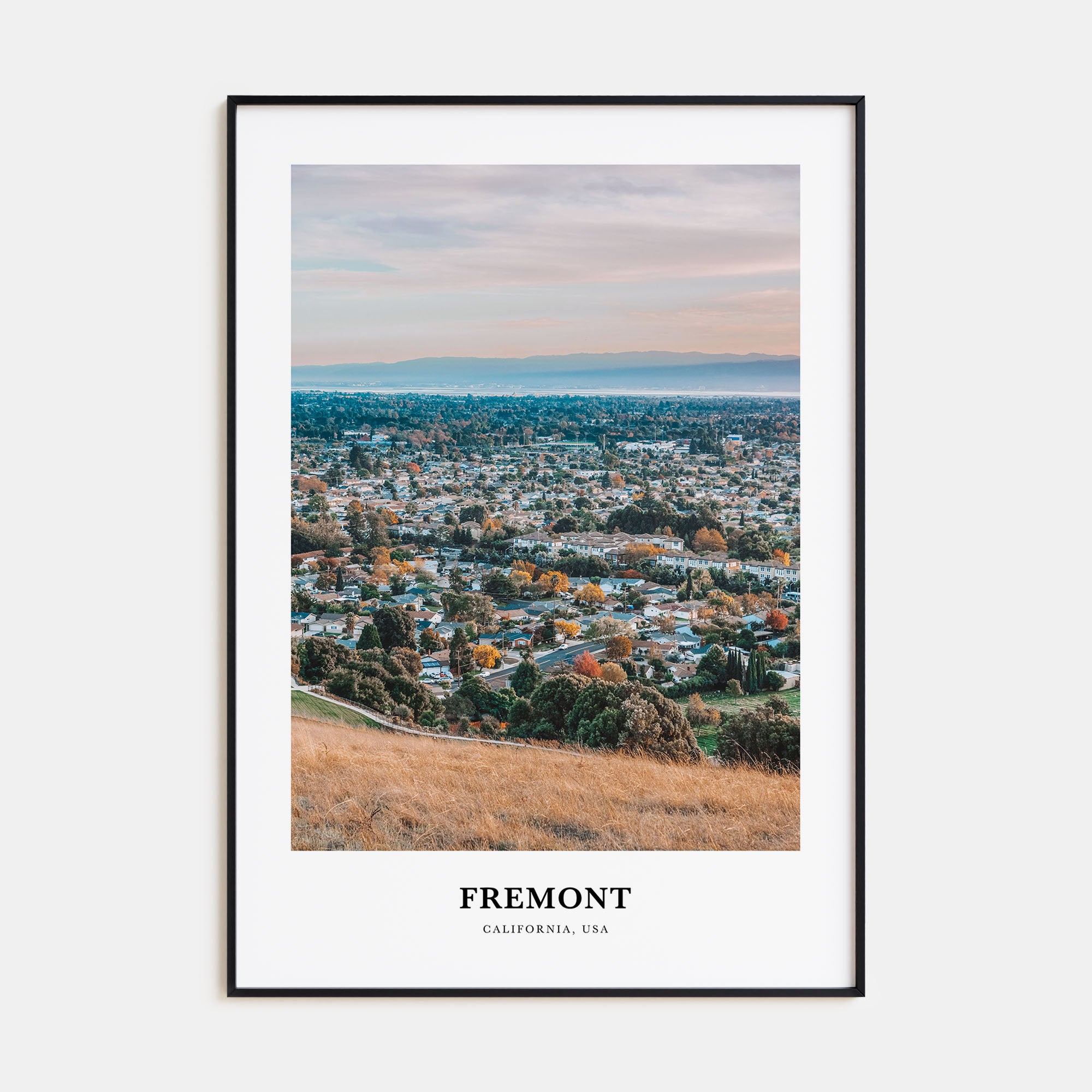 Fremont Portrait Color Poster