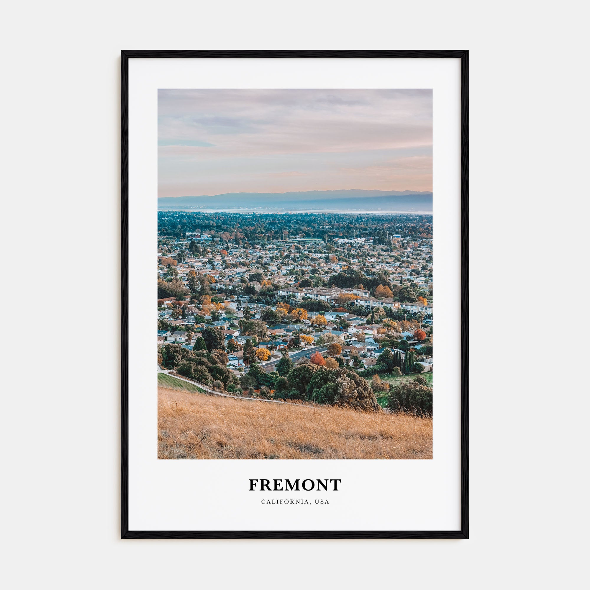Fremont Portrait Color Poster