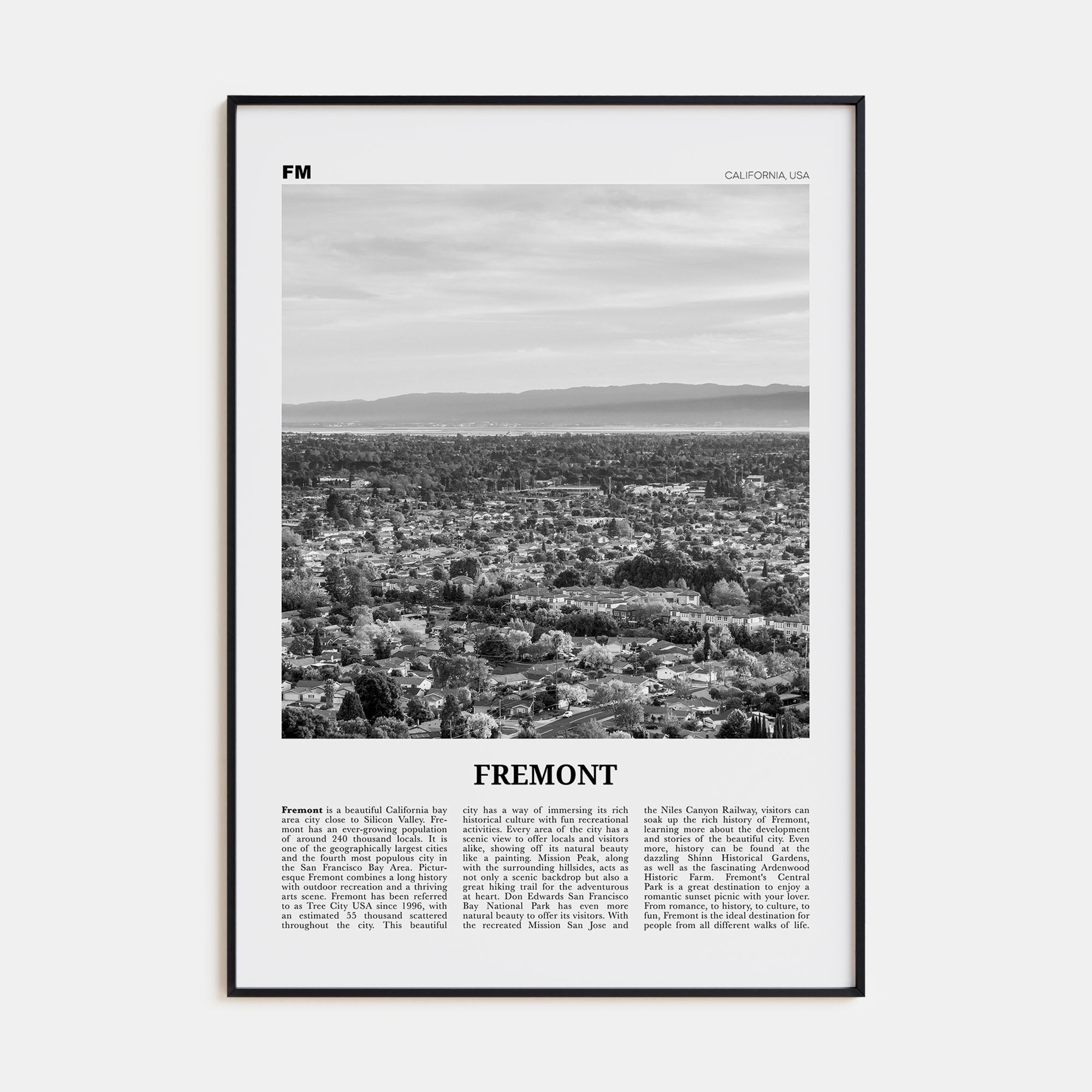 Fremont Travel B&W Poster