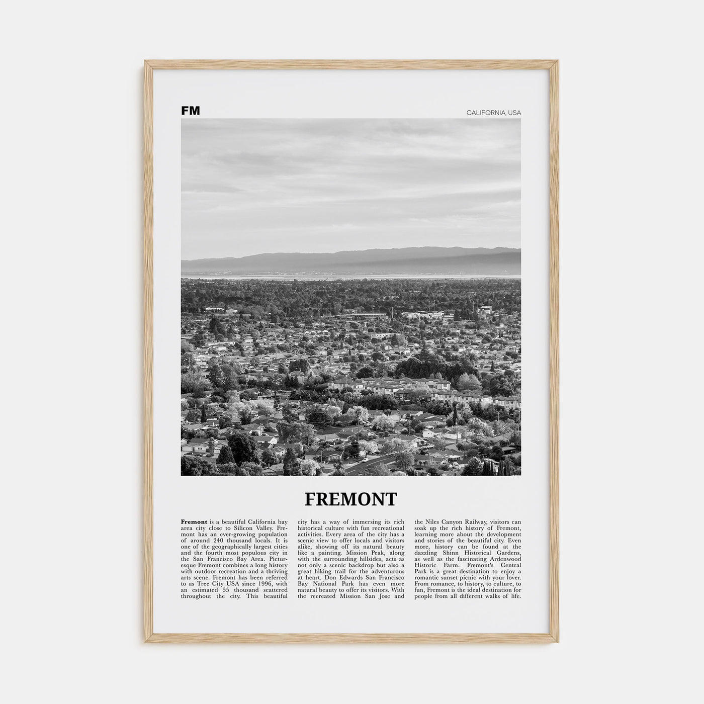 Fremont Travel B&W Poster