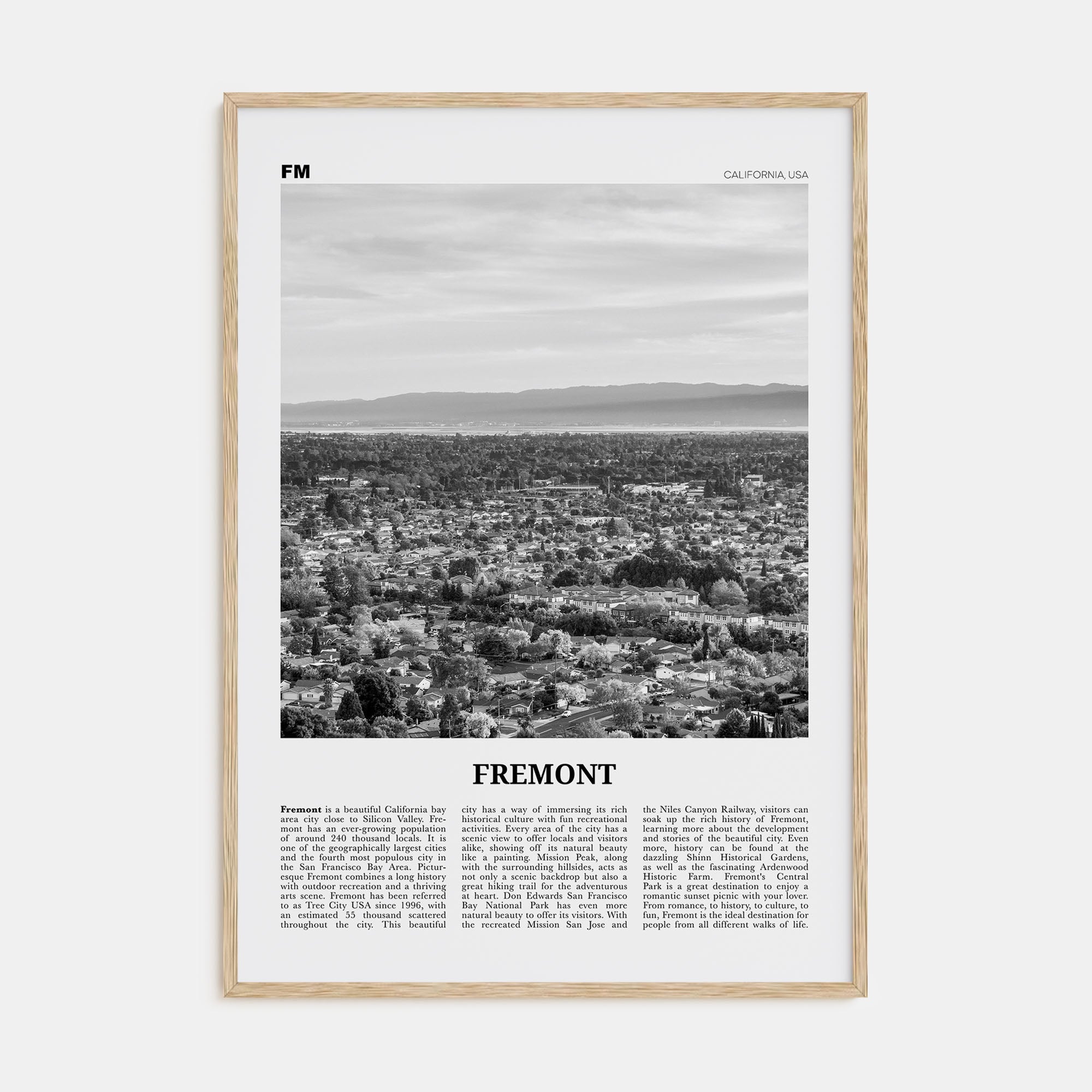 Fremont Travel B&W Poster