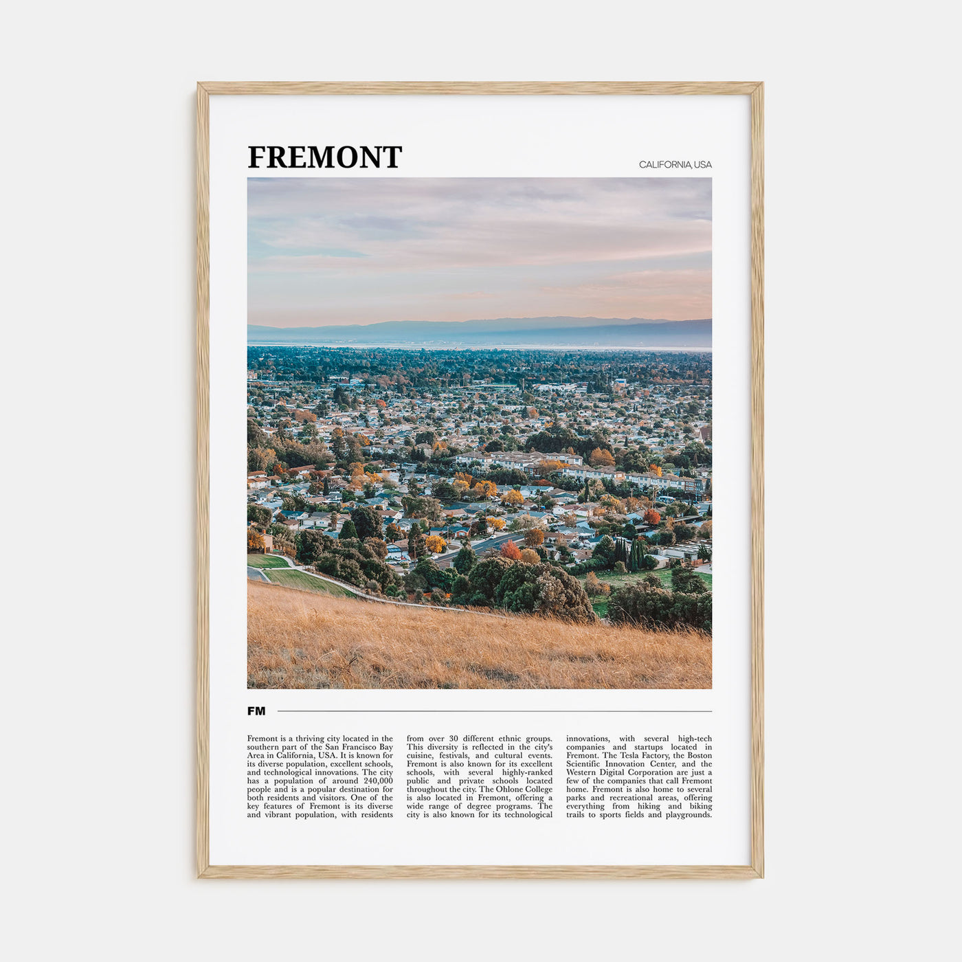 Fremont Travel Color Poster
