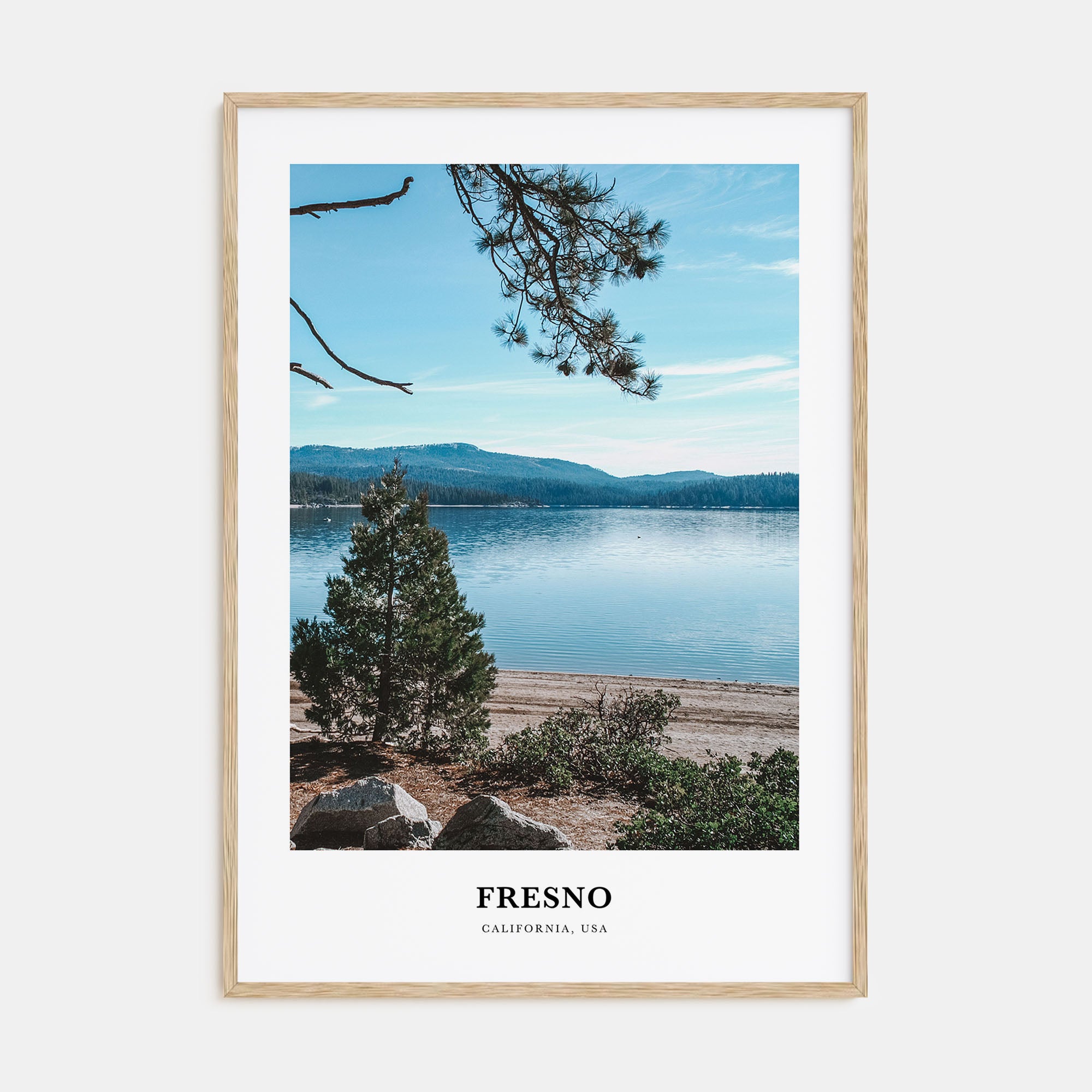 Fresno Portrait Color Poster
