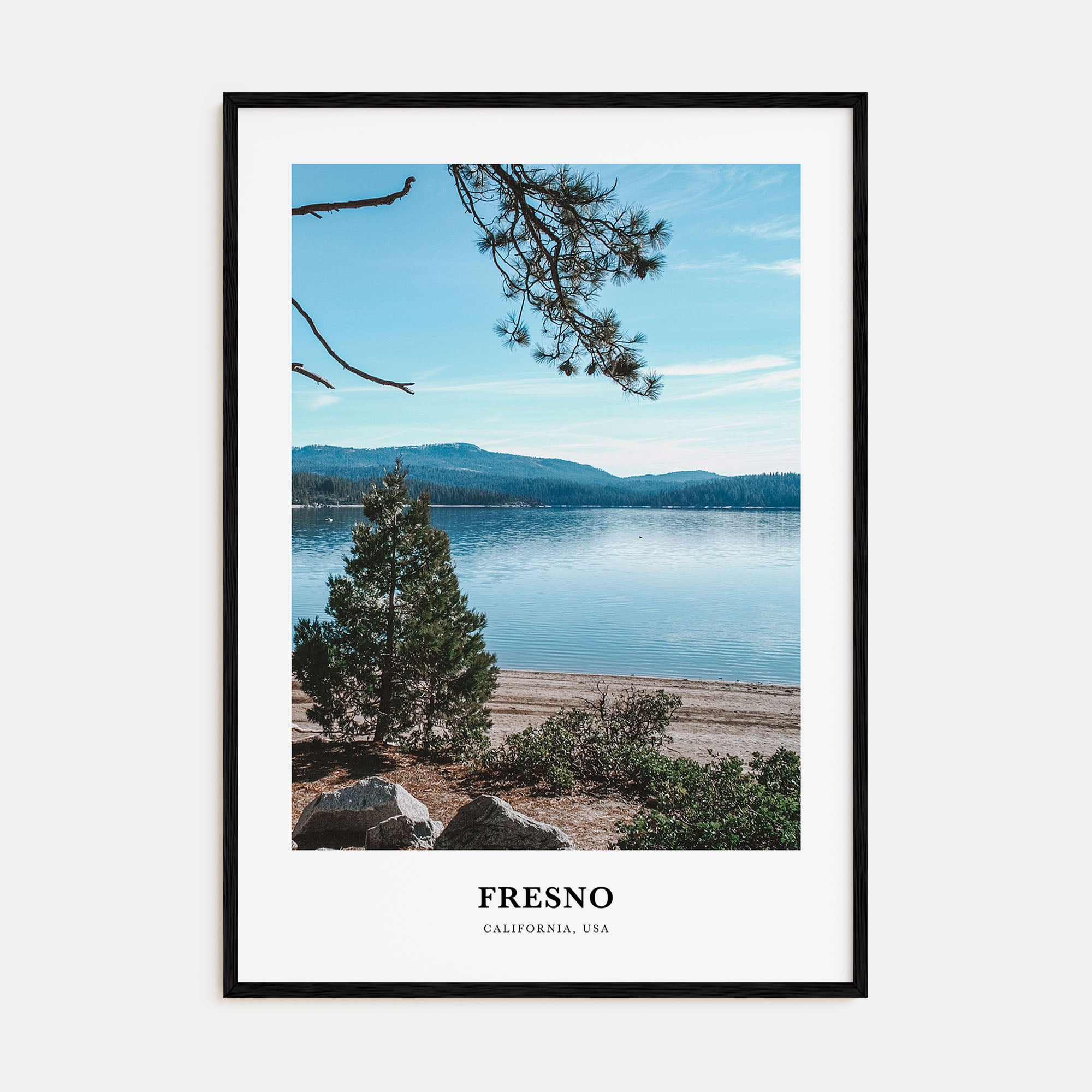 Fresno Portrait Color Poster