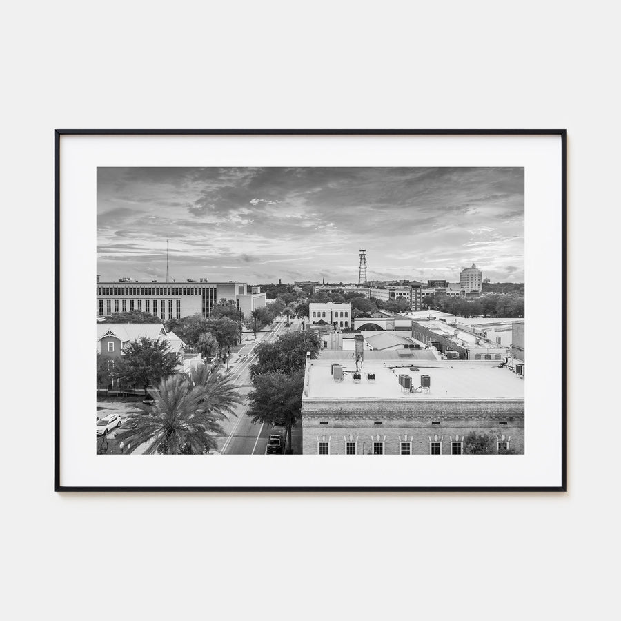 Gainesville Landscape B&W Poster