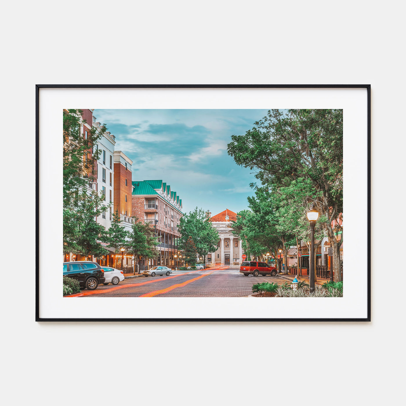 Gainesville Landscape Color Poster