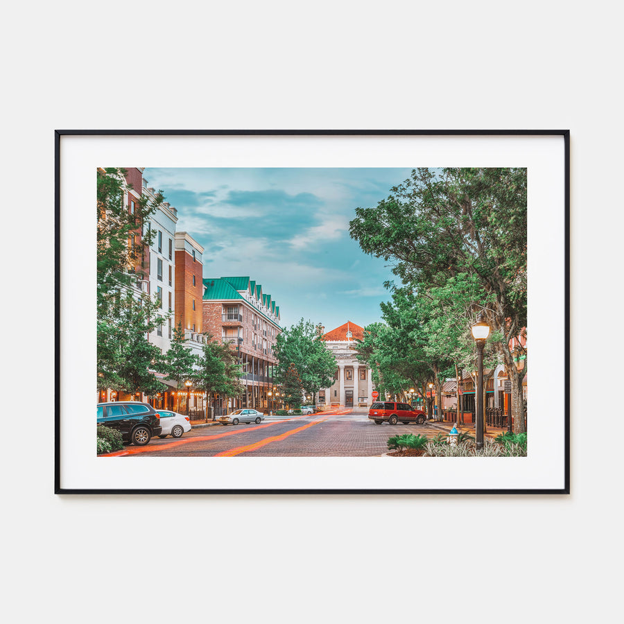 Gainesville Landscape Color Poster