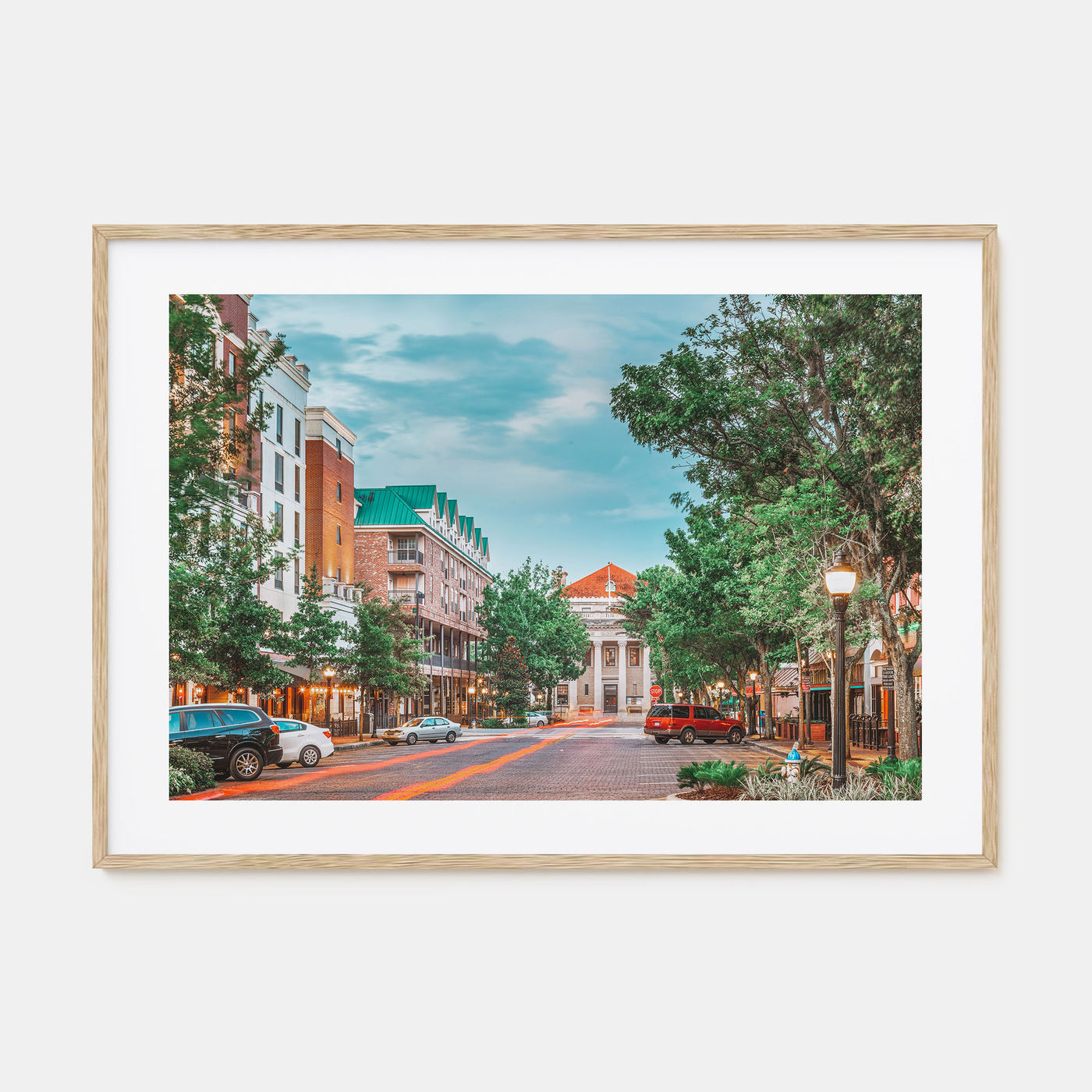 Gainesville Landscape Color Poster