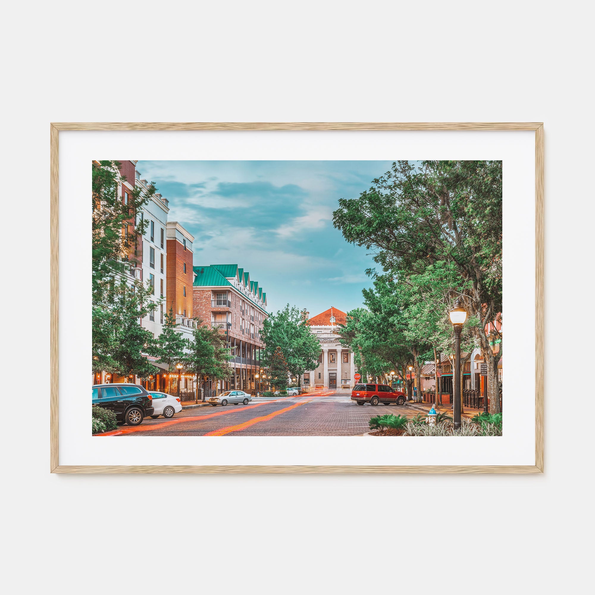 Gainesville Landscape Color Poster