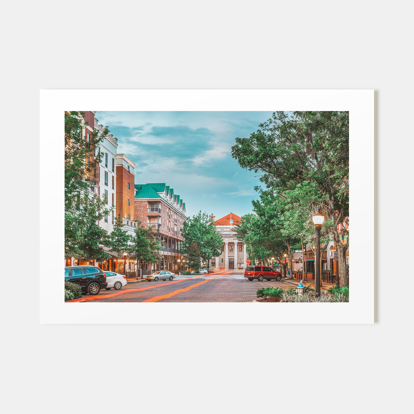 Gainesville Landscape Color Poster