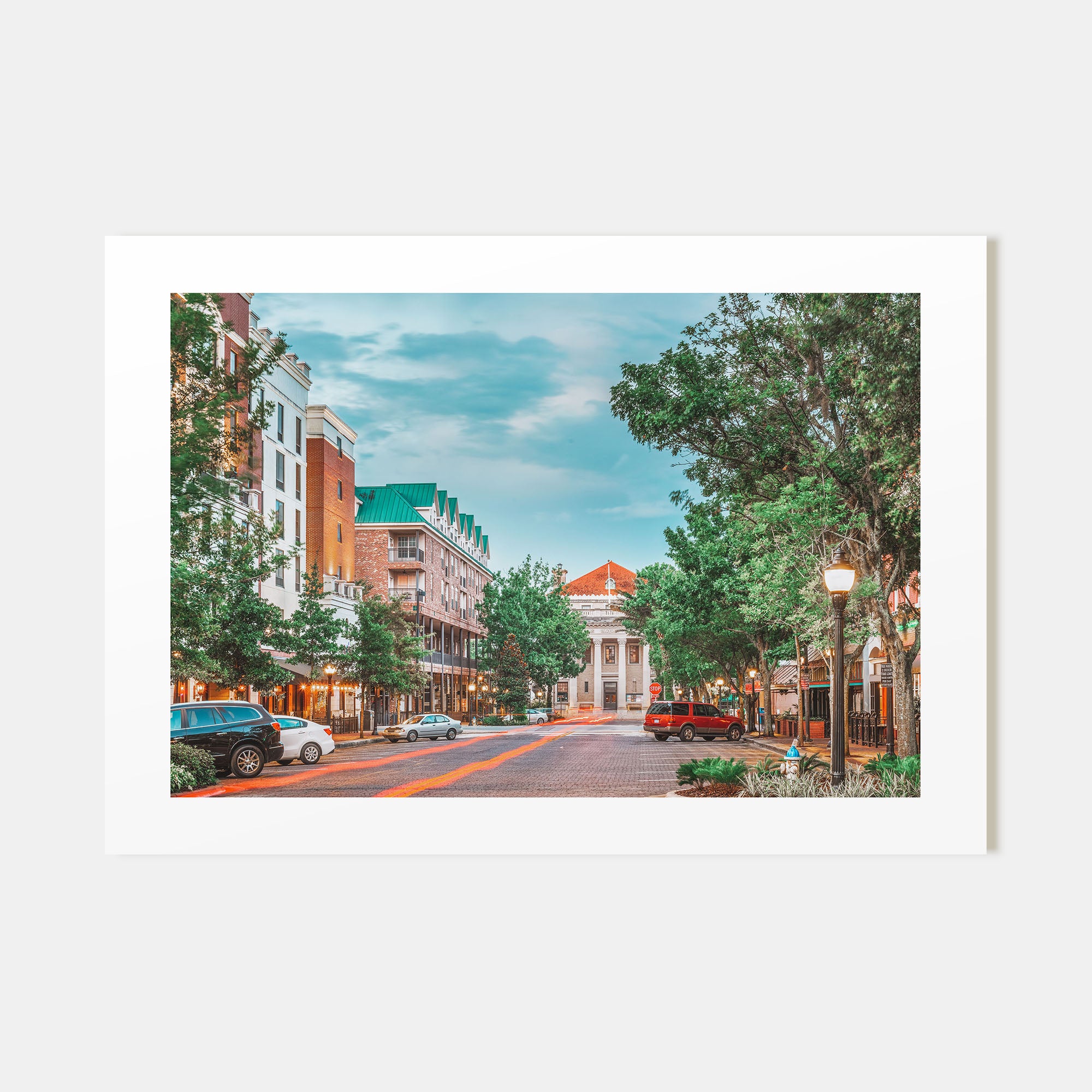 Gainesville Landscape Color Poster