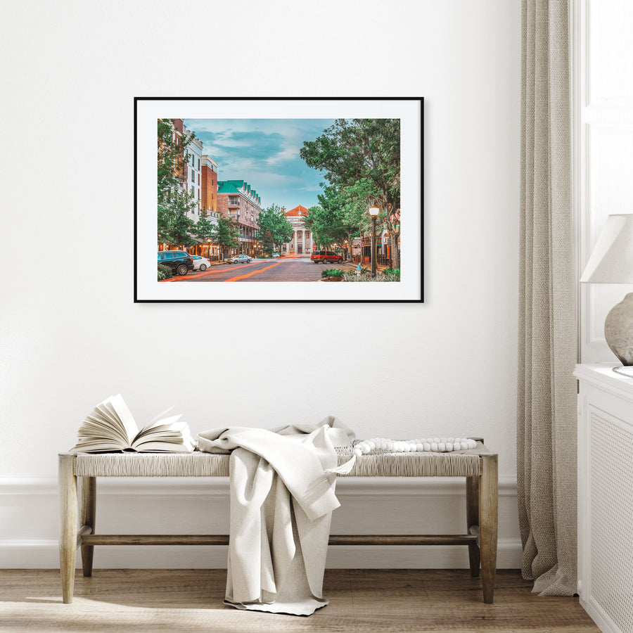Gainesville Landscape Color Poster