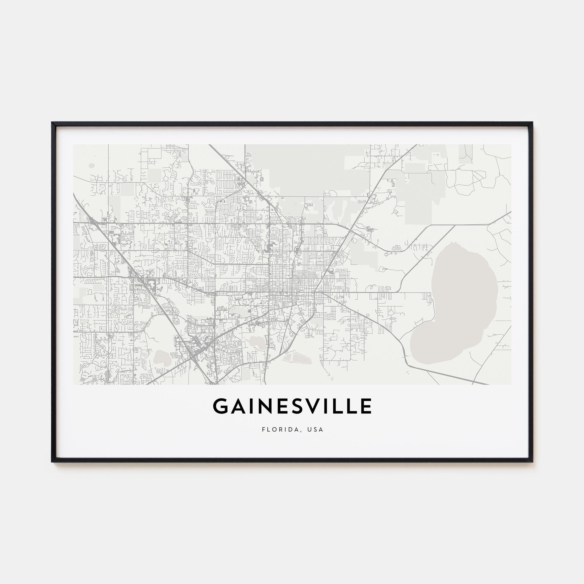 Gainesville Map Landscape Poster