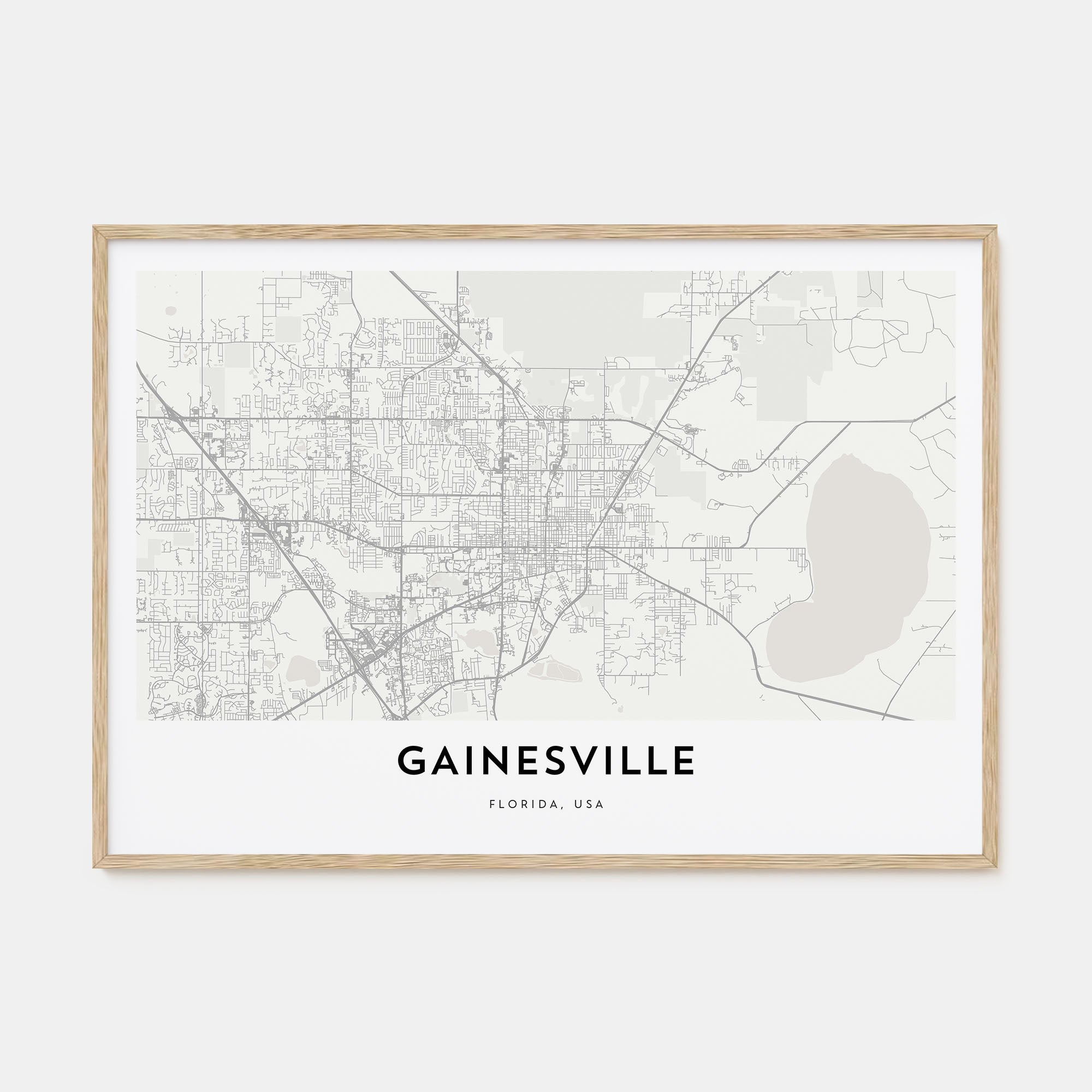 Gainesville Map Landscape Poster