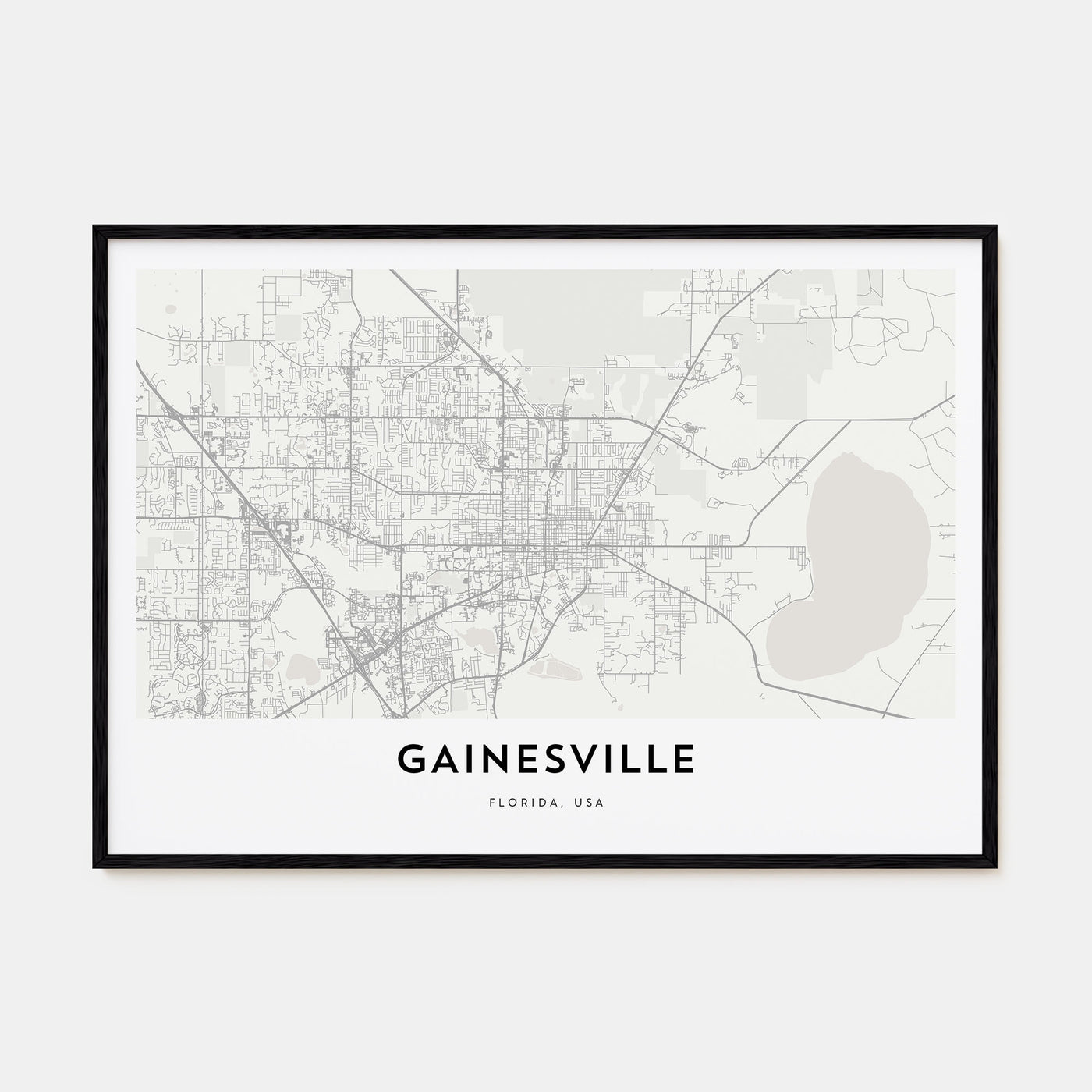 Gainesville Map Landscape Poster