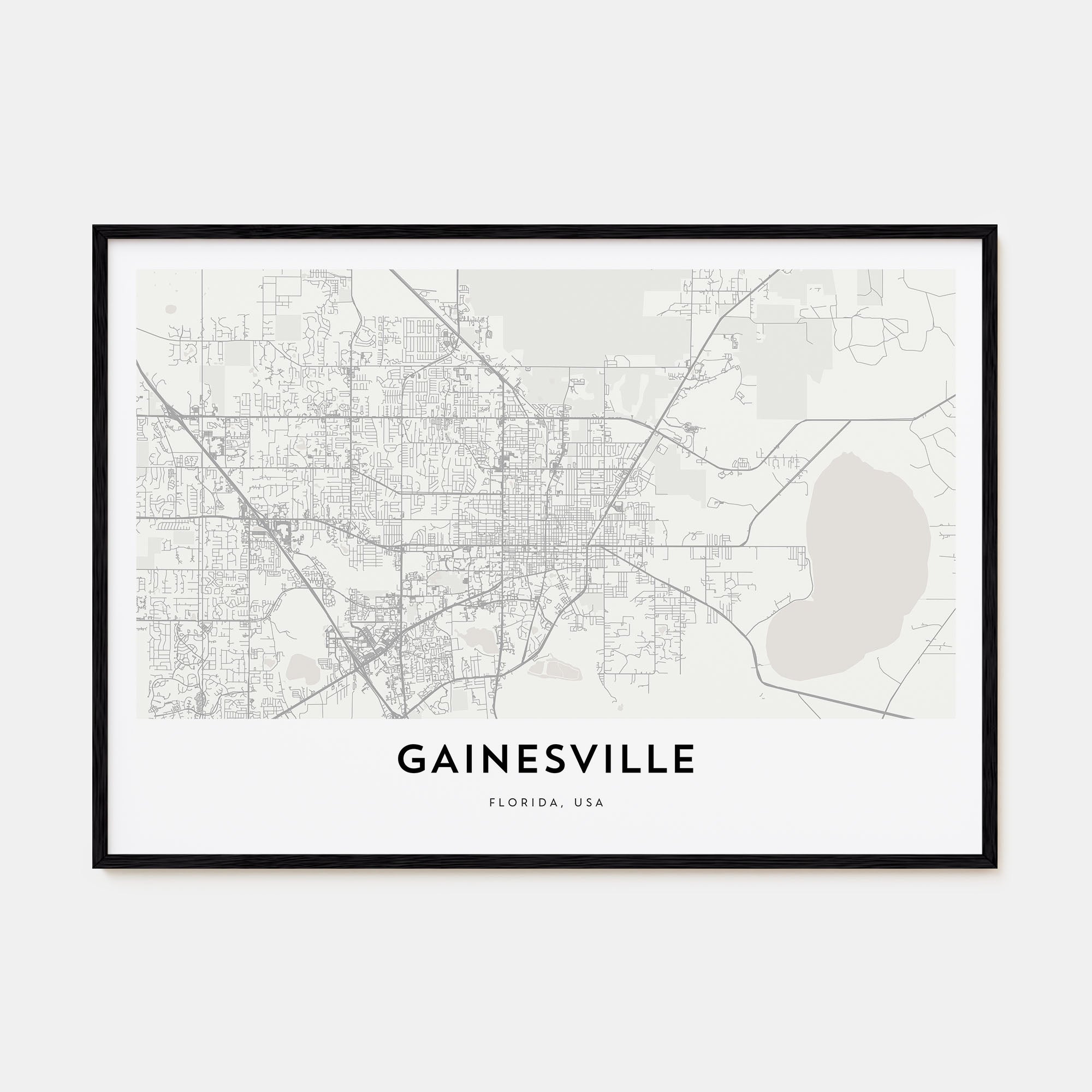 Gainesville Map Landscape Poster