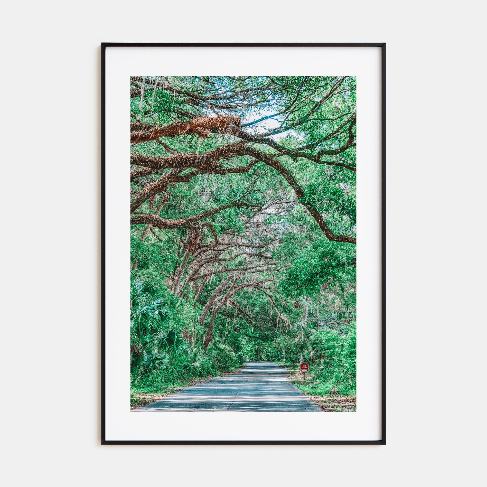 Gainesville Photo Color No 2 Poster