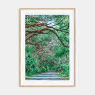 Gainesville Photo Color No 2 Poster